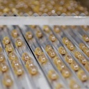 Viên Uống Trầm Hương APAS GOLD - Image 4