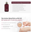 Tinh Chất Collagen Dưỡng Da Và Ngăn Ngừa Lão Hóa Maxclinic Collagen Intensive Ampoule 100ml - Image 6