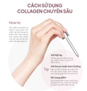 Tinh Chất Collagen Dưỡng Da Và Ngăn Ngừa Lão Hóa Maxclinic Collagen Intensive Ampoule 100ml - Image 7